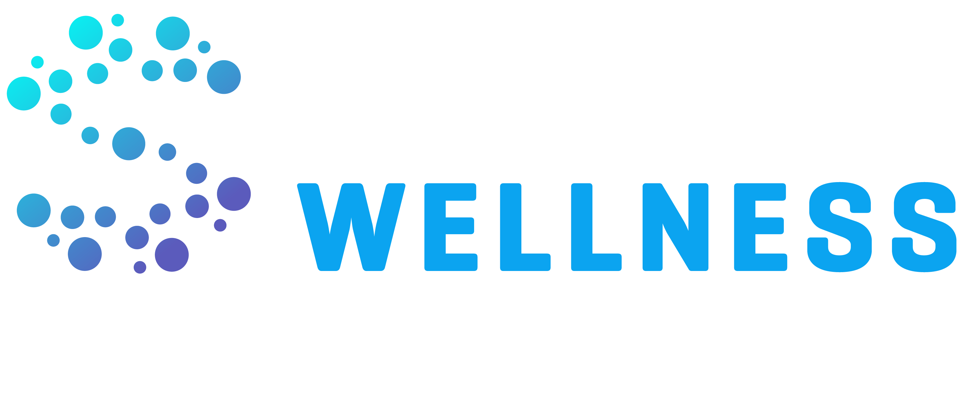 Wellness logo long